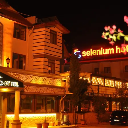 فندق Selenium
